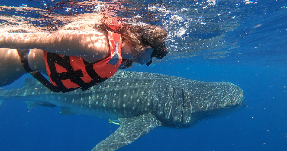 Ultimate First-Time Traveler's Guide to Cancun