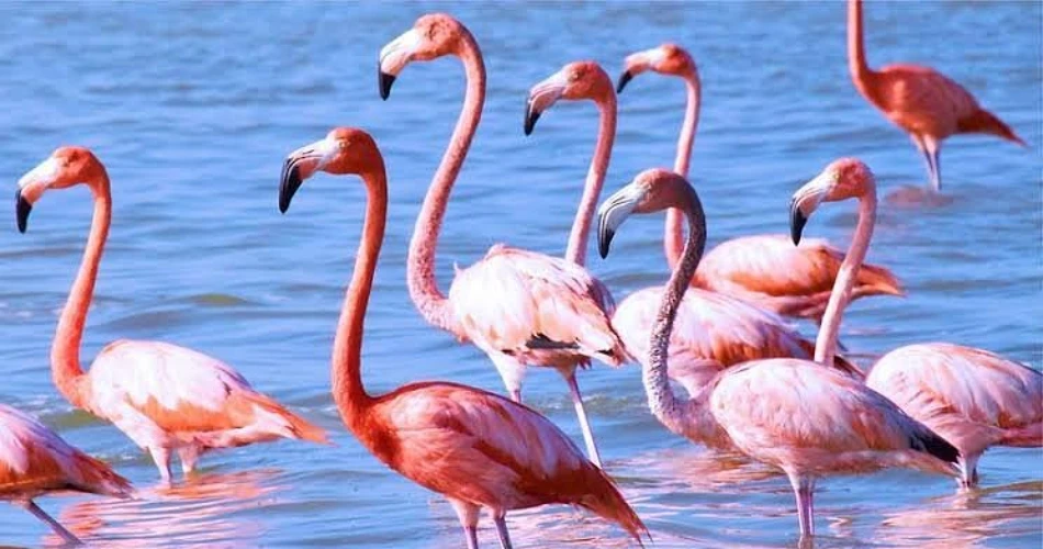 Best Day Trips from Cancún