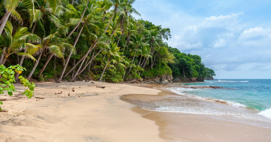 Best Day Trips from Cancún