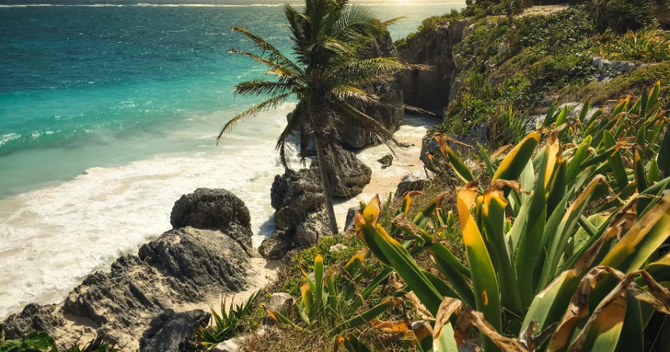 Low Budget 1-Day Itinerary in Cancun