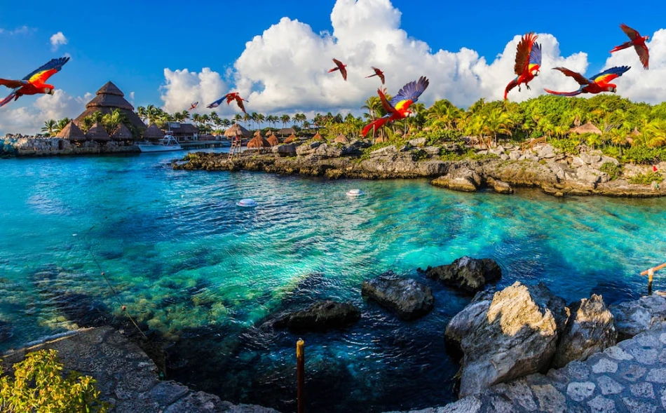 10 Best Things to Do After Dinner in Cancun